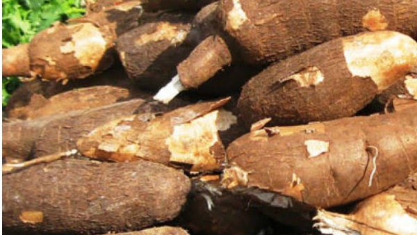 കപ്പയില്‍