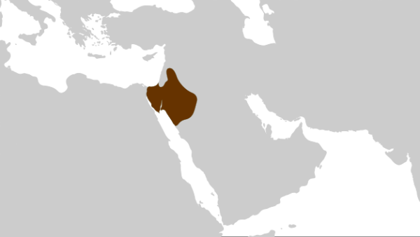 റോമന്‍ അധിനിവേശം