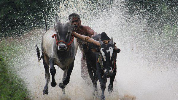 നവംബര് 1 ന് നവംബര് 1 ന്