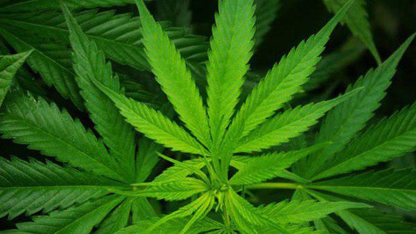 മിഥുന്‍ 