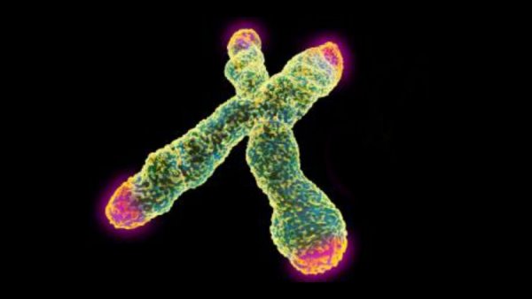 ഞെട്ടിക്കുന്ന വിവരങ്ങൾ