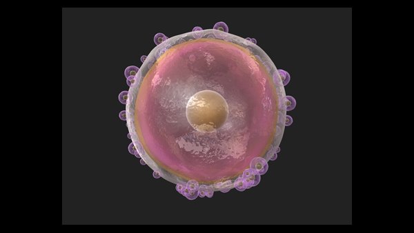20,000 മുതൽ 30,000 വരെ