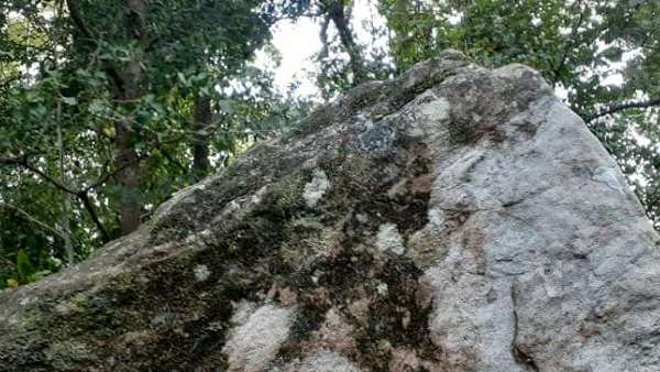 ഒരിക്കലും വറ്റാത്ത കുളവും ഒരിക്കലും വറ്റാത്ത കുളവും