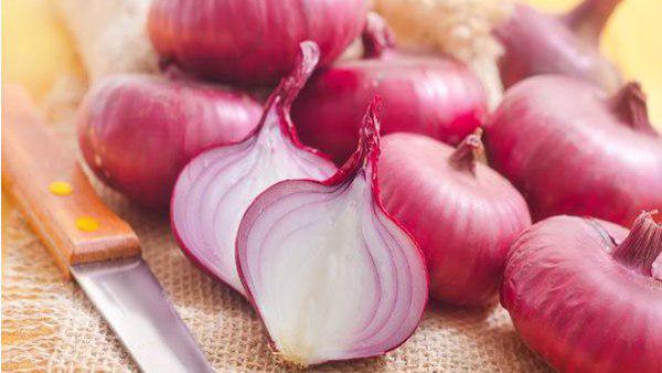 onion onion