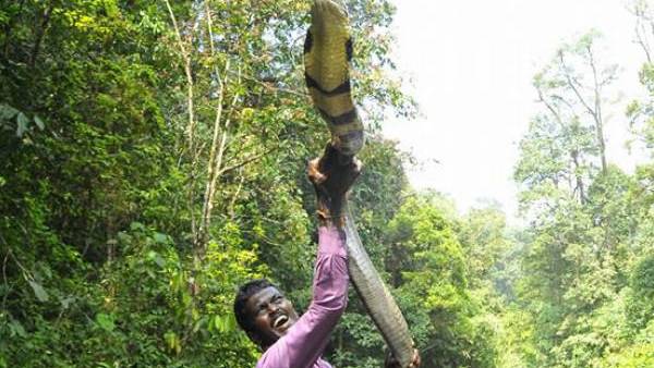 ആരോഗ്യാവസ്ഥയിൽ പുരോഗതി