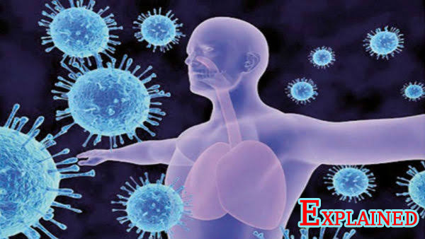  രോഗ നിയന്ത്രണത്തിന് എന്തെല്ലാം... 