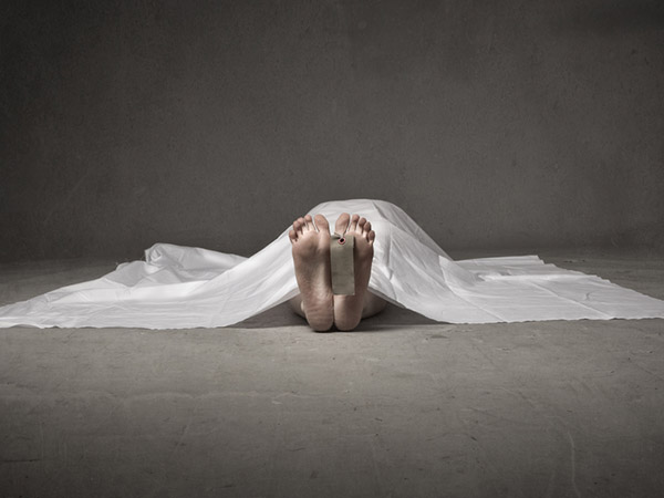 മുറിവോ ചതവോ ഇല്ല