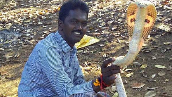 മണ്ടത്തരം തിരിച്ചറിയണം
