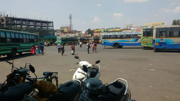 ശക്തമായ നടപടി