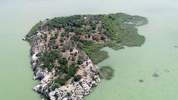 25 ലക്ഷം ഡോളര്‍