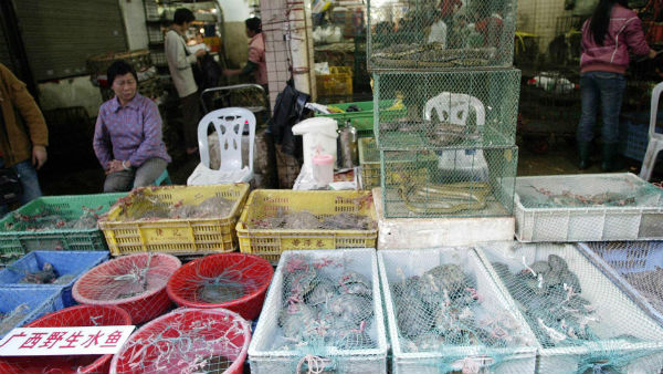 ഇപ്പോള്‍ പറയുന്നത്