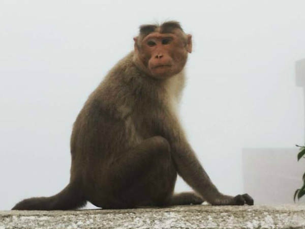 ഫലം കൃത്യം, പ്രതീക്ഷ നല്‍കുന്നത്