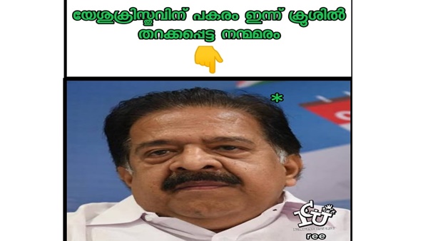  പാവം നന്മമരം