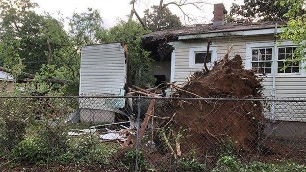  മരങ്ങള്‍ കടപുഴകി