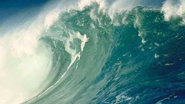  ഫുകുഷിമ ആണവ പ്ലാന്റിന് ഭീഷണി?