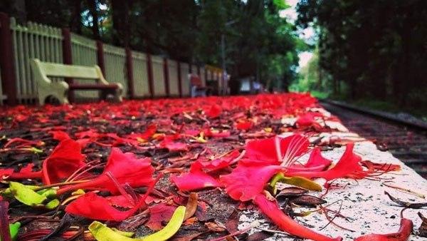 ബ്രിട്ടീഷുകാര്‍ പണിതത്