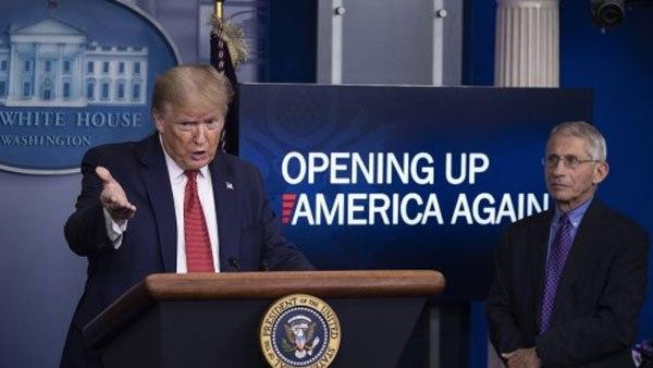 സെനറ്റ് സമിതിയില്‍ മൊഴി കൊടുക്കേണ്ടവര്‍