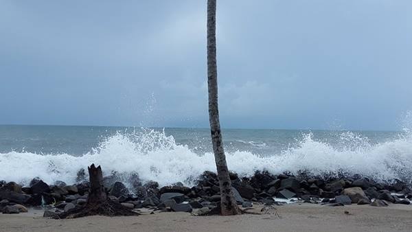  മുൻകരുതൽ നടപടികൾക്ക് നിർദേശം 