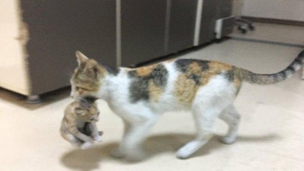 അത്യാഹിത വിഭാഗത്തിൽ അത്യാഹിത വിഭാഗത്തിൽ