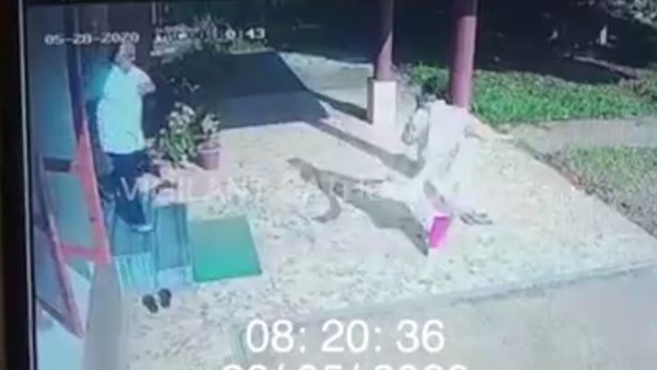 എന്റെ നേർക്ക്