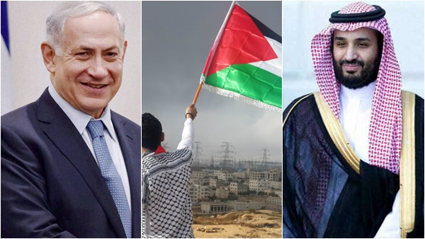 വിമര്‍ശനം