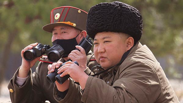  പല്ലുകൾക്ക് നീളക്കൂടുതൽ 