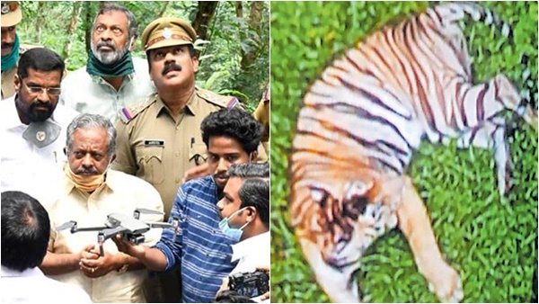 ചിത്രം ലഭിച്ചു