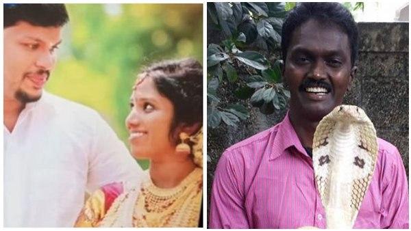 സാക്ഷിയായി വാവ