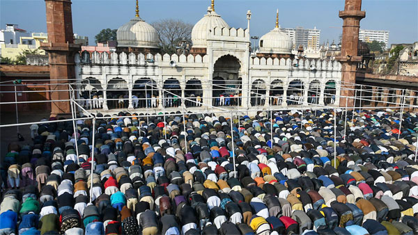 കൂട്ടത്തോടെ