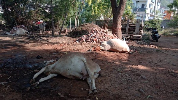 അടിച്ചിട്ട ഫാക്ടറി