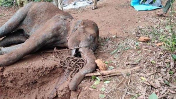  വനപാലകര്‍ അറിയുന്നത്