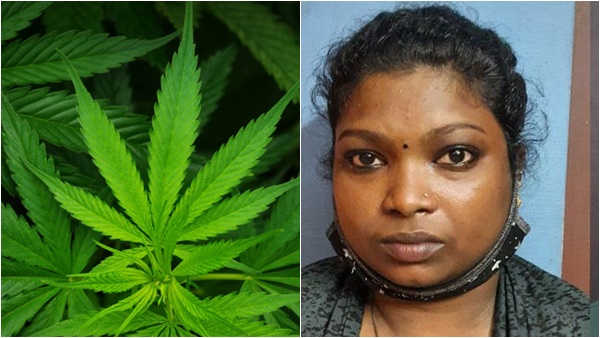 സിനിമകളിലും