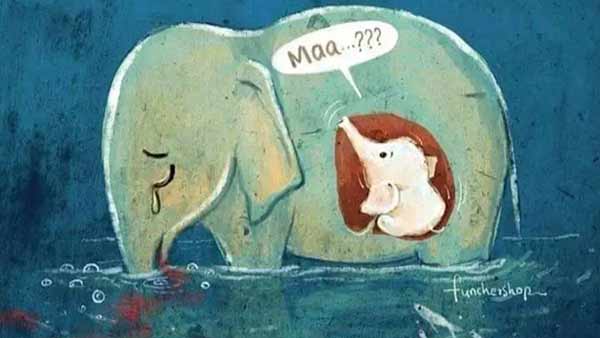 വയറൊട്ടി.. മെലിഞ്ഞ്.. വയറൊട്ടി.. മെലിഞ്ഞ്..