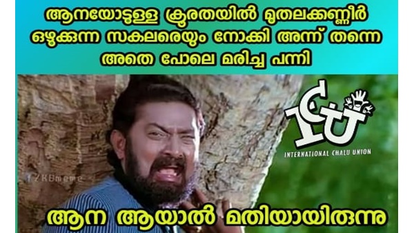 ആന ആയാല്‍ മതിയായിരുന്നു