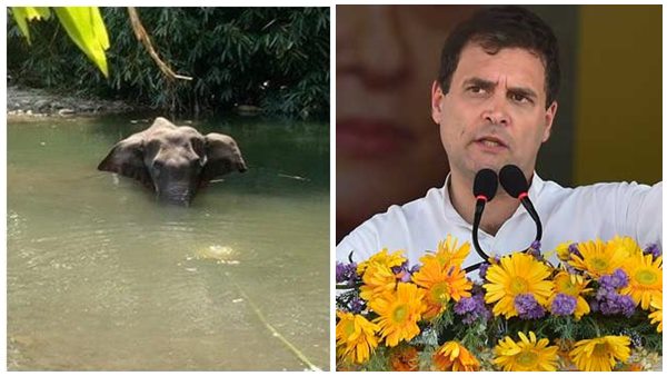 സമാനതകളില്ലാത്ത ക്രൂരത