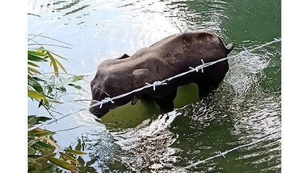 അത് വ്യാമോഹമാണ് അത് വ്യാമോഹമാണ്