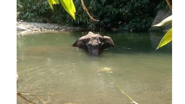 രാജ്യത്തിന് ഭീഷണി