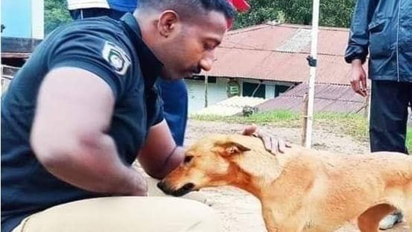  പ്രിയപ്പെട്ട കളിക്കൂട്ടുകാരി 