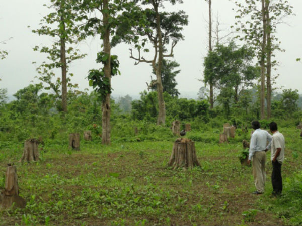 പരിസ്ഥിതി 