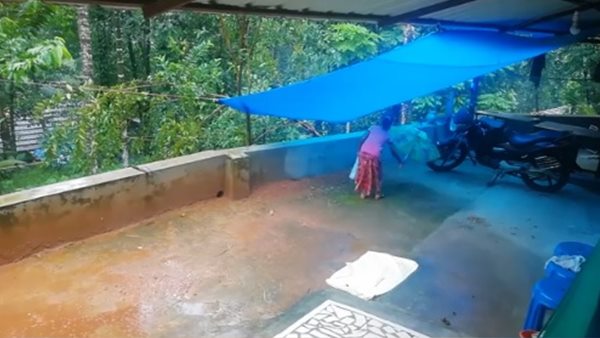 ബാസിലാക്കാ ഭക്ഷണം കൊണ്ടോരാണ്