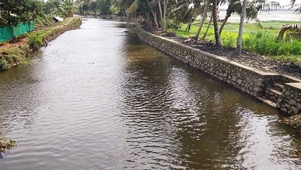 ഹരിതകേരളം മിഷന്‍ 