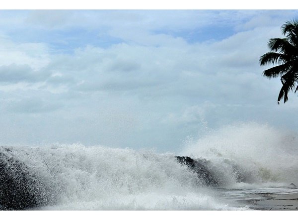 4000 ൽ അധികം പേർക്ക് ഭക്ഷണപ്പൊതി