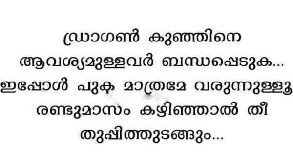 ഡ്രാഗണ്‍ കുഞ്ഞുങ്ങളുടെ ശല്യം!