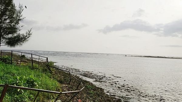 സ്വാഭാവിക നീരൊഴുക്ക്‌ ഉറപ്പ്‌ വരുത്തി