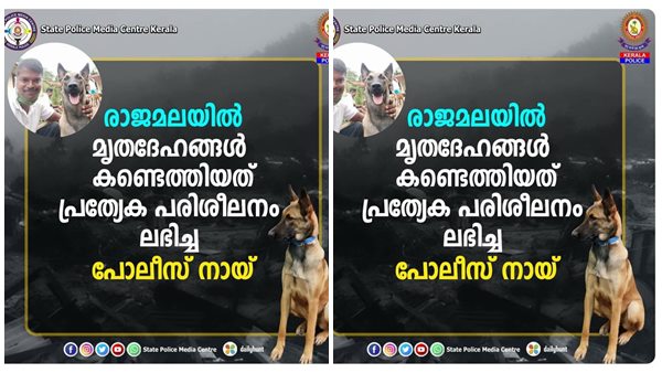 പത്ത് മാസം മാത്രം പ്രായമുളള ലില്ലി