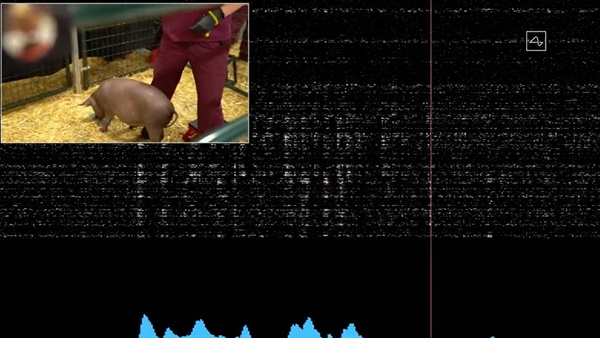 തെളിവ് കാണിച്ചു