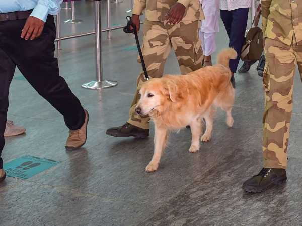 ചിലിയില്‍