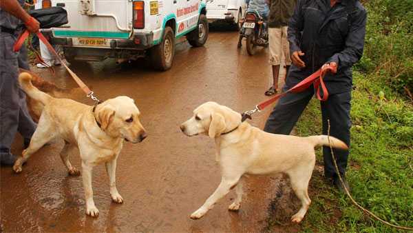 ഇന്ത്യയില്‍ ഇല്ല