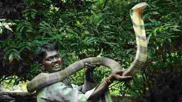  ചിത്രങ്ങള്‍ സഹിതം