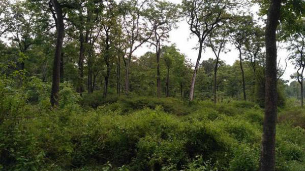 രണ്ട് മേഖലകള്‍